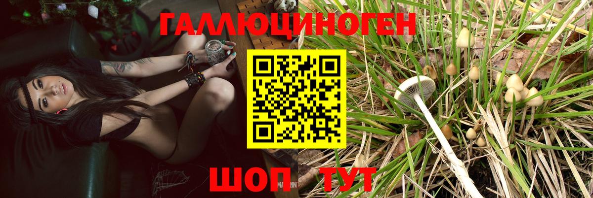 Псилоцибиновые грибы мицелий Кудымкар