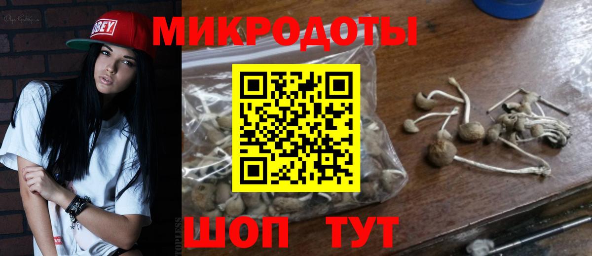 Галлюциногенные грибы Magic Shrooms  Галлюциногенные грибы Psilocybine cubensis  Вход с VPN  Кудымкар 
